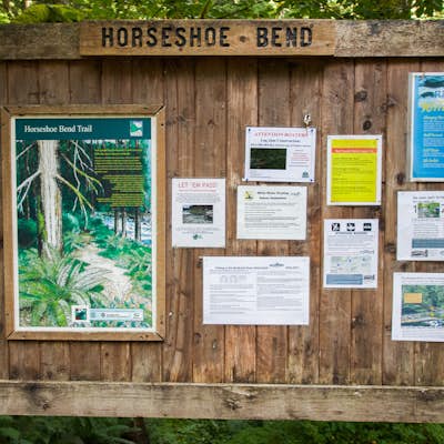 Hike the Horseshoe Bend Trail