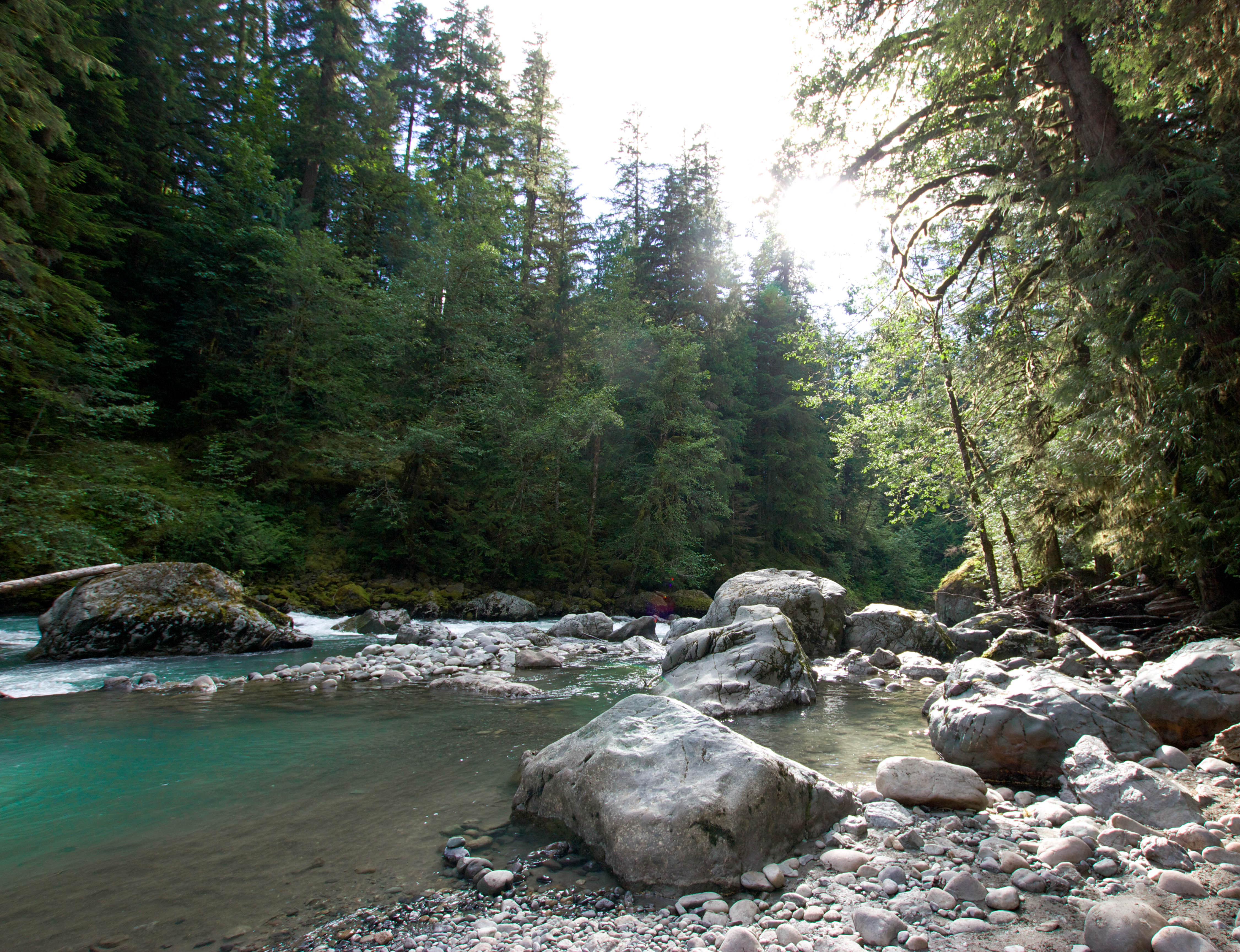 Hike the Horseshoe Bend Trail, Deming, Washington