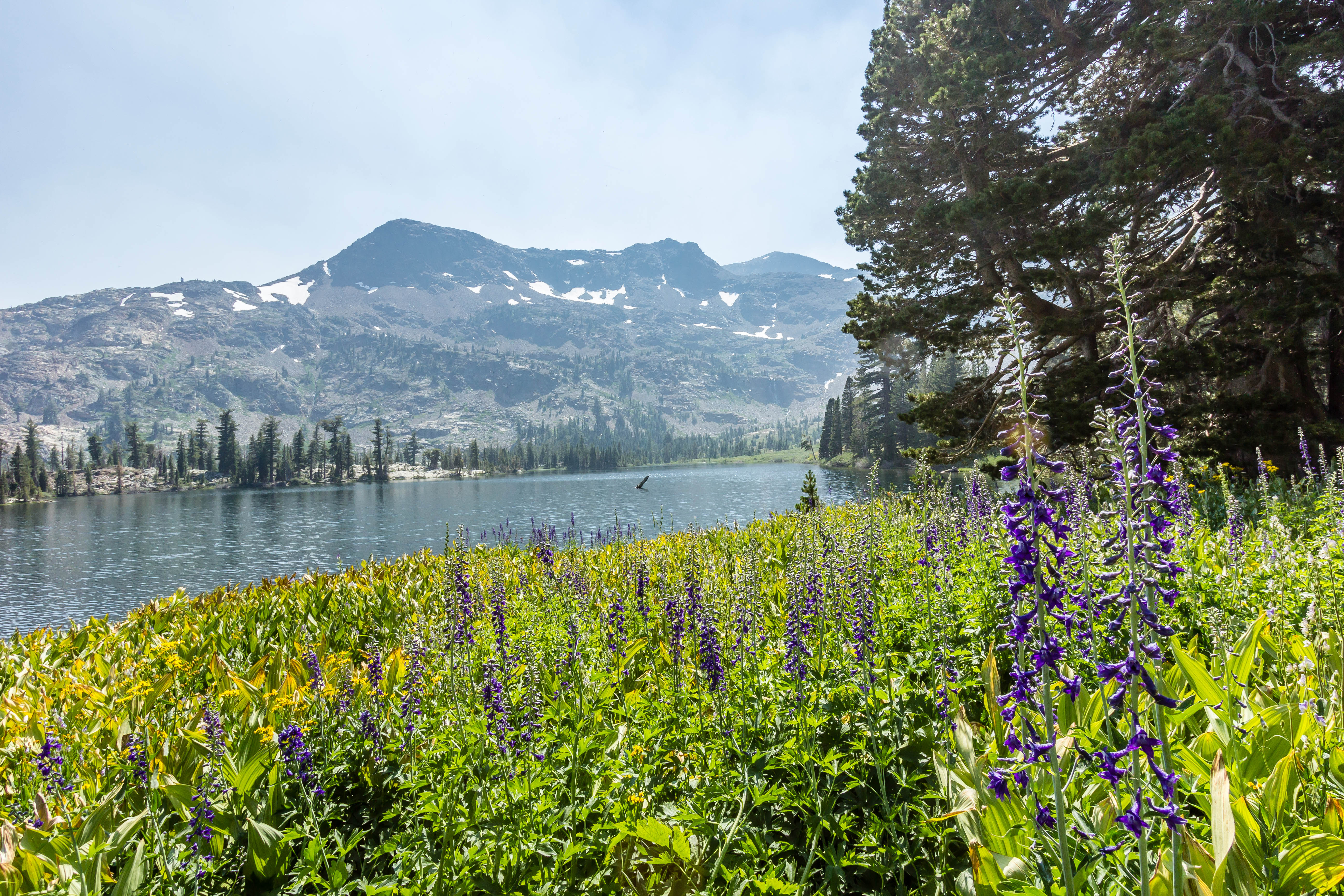Hike to Half Moon Lake in Desolation Wilderness , Tahoma, California