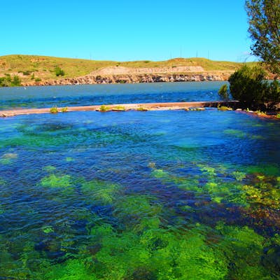Explore Giant Springs State Park