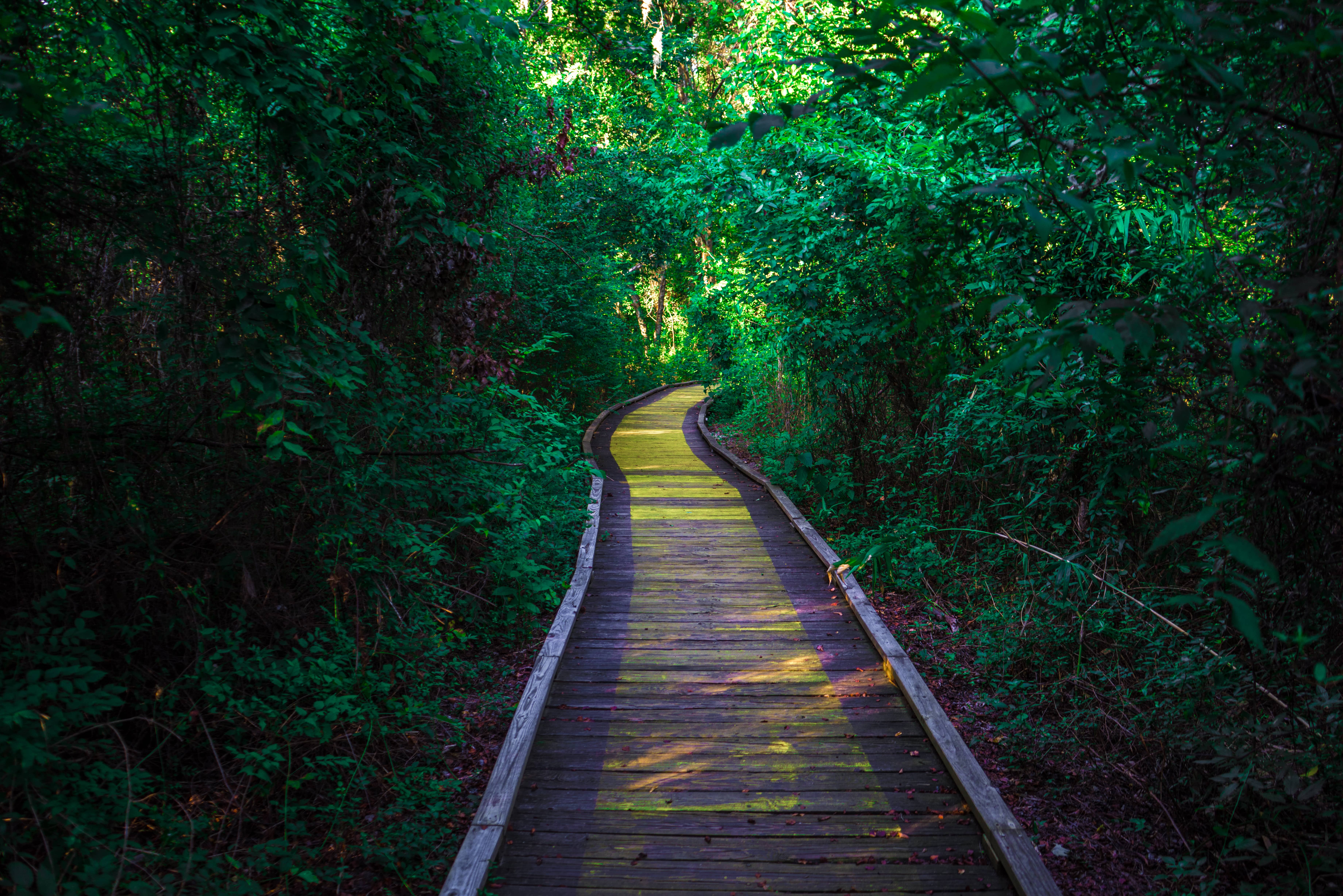Wetland Trail and Beaver Dam Loop