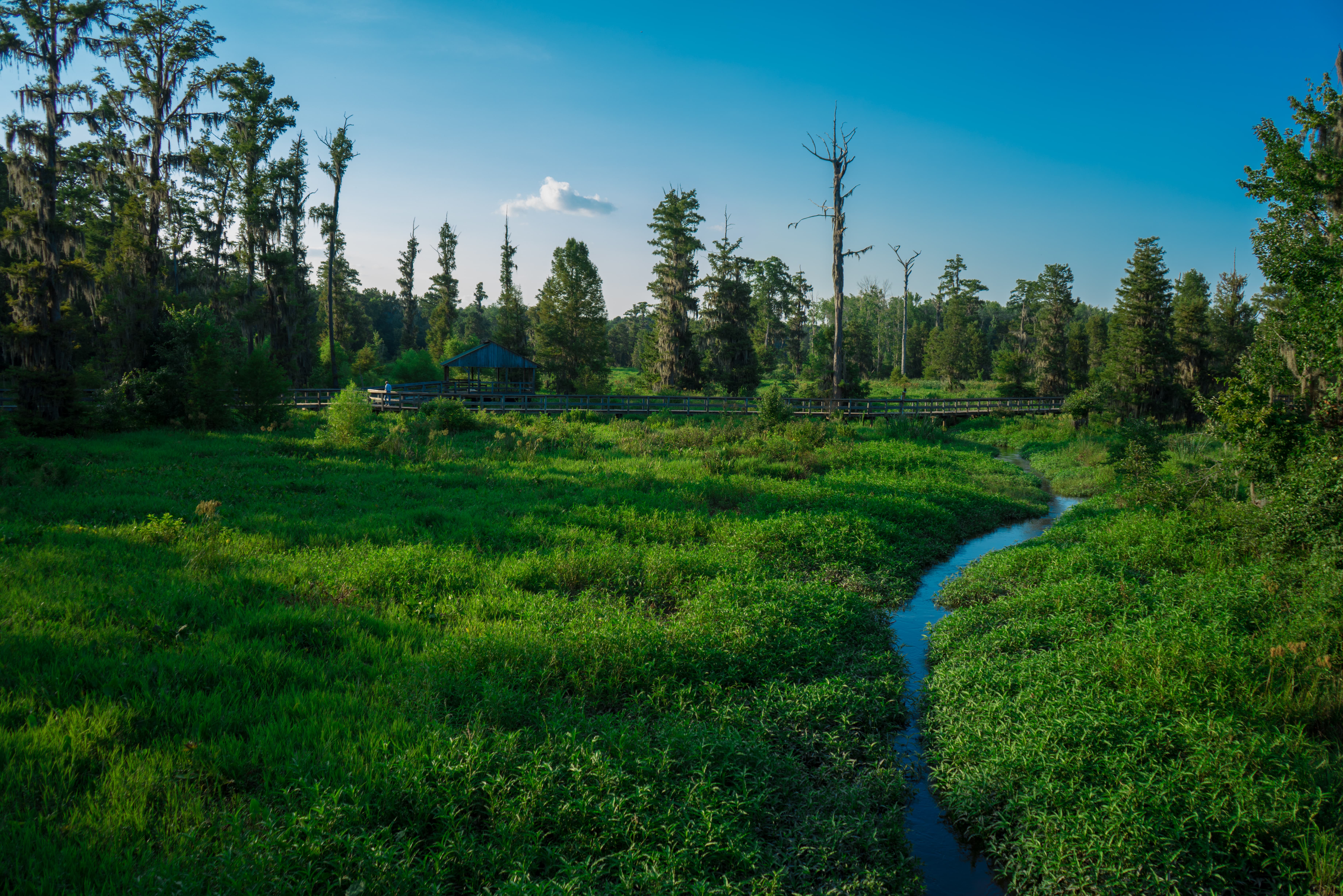 Wetland Trail and Beaver Dam Loop