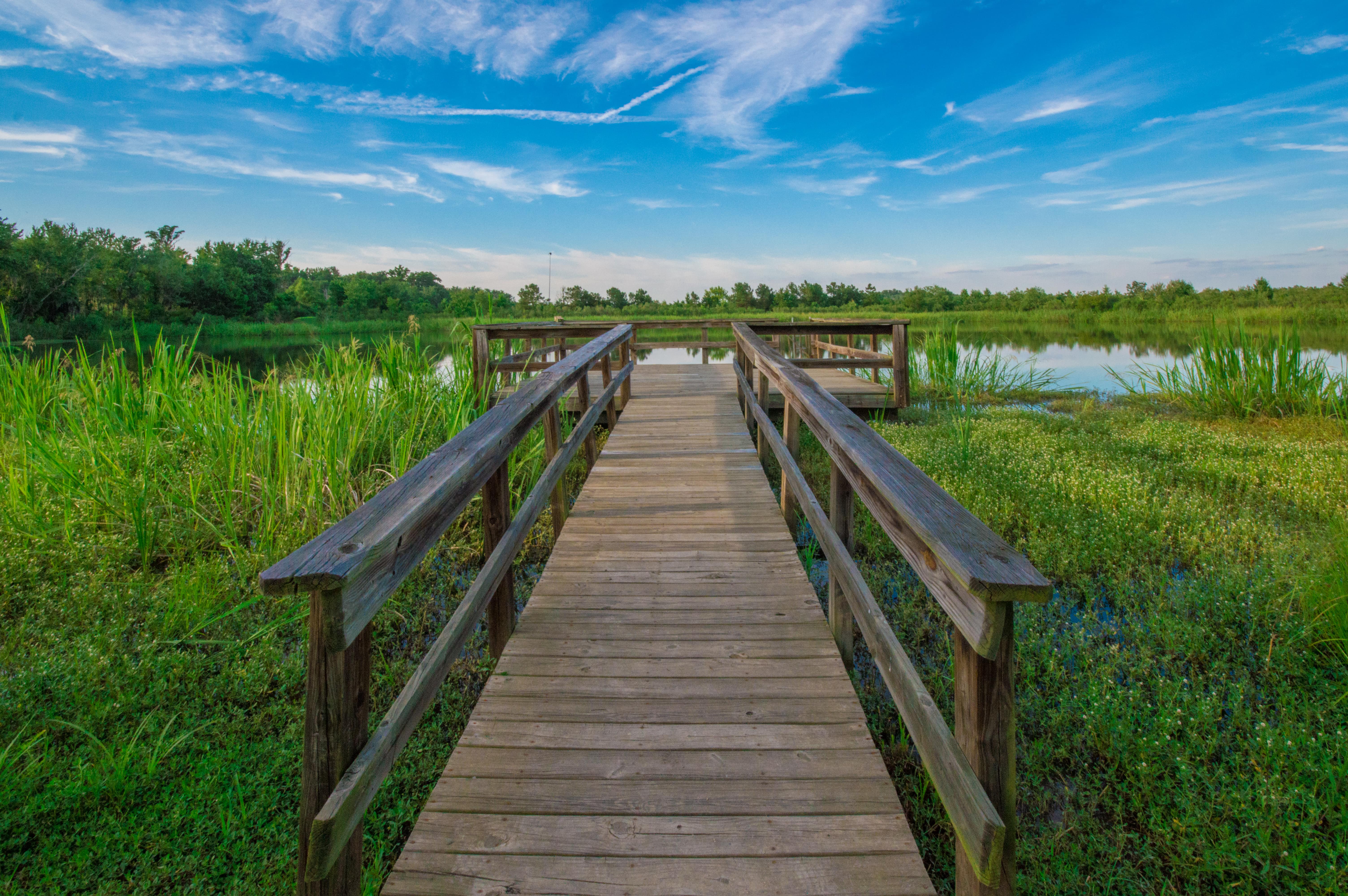 Wetland Trail and Beaver Dam Loop