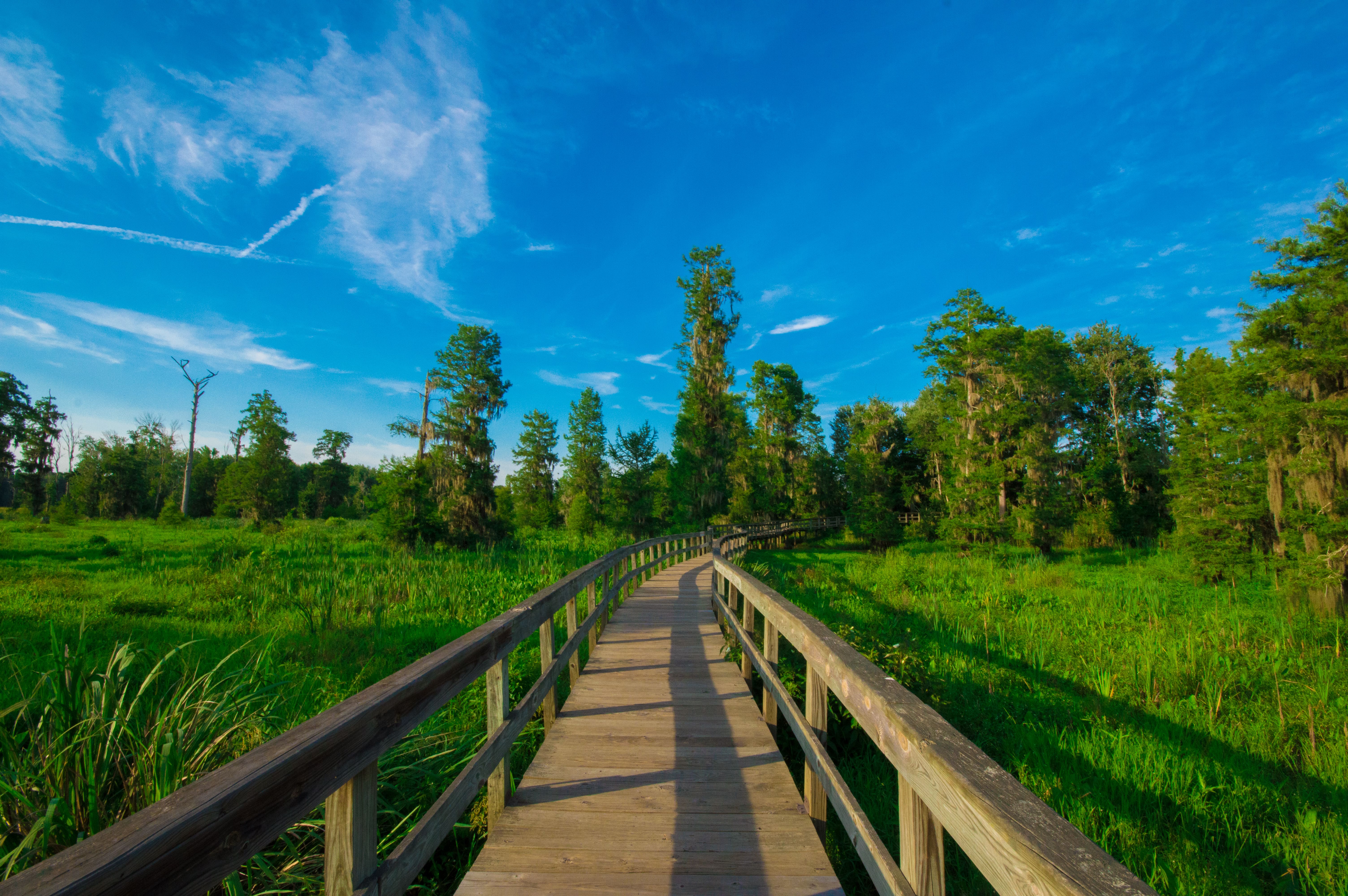 Wetland Trail and Beaver Dam Loop