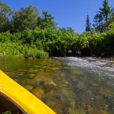 Kayak the Crystal River