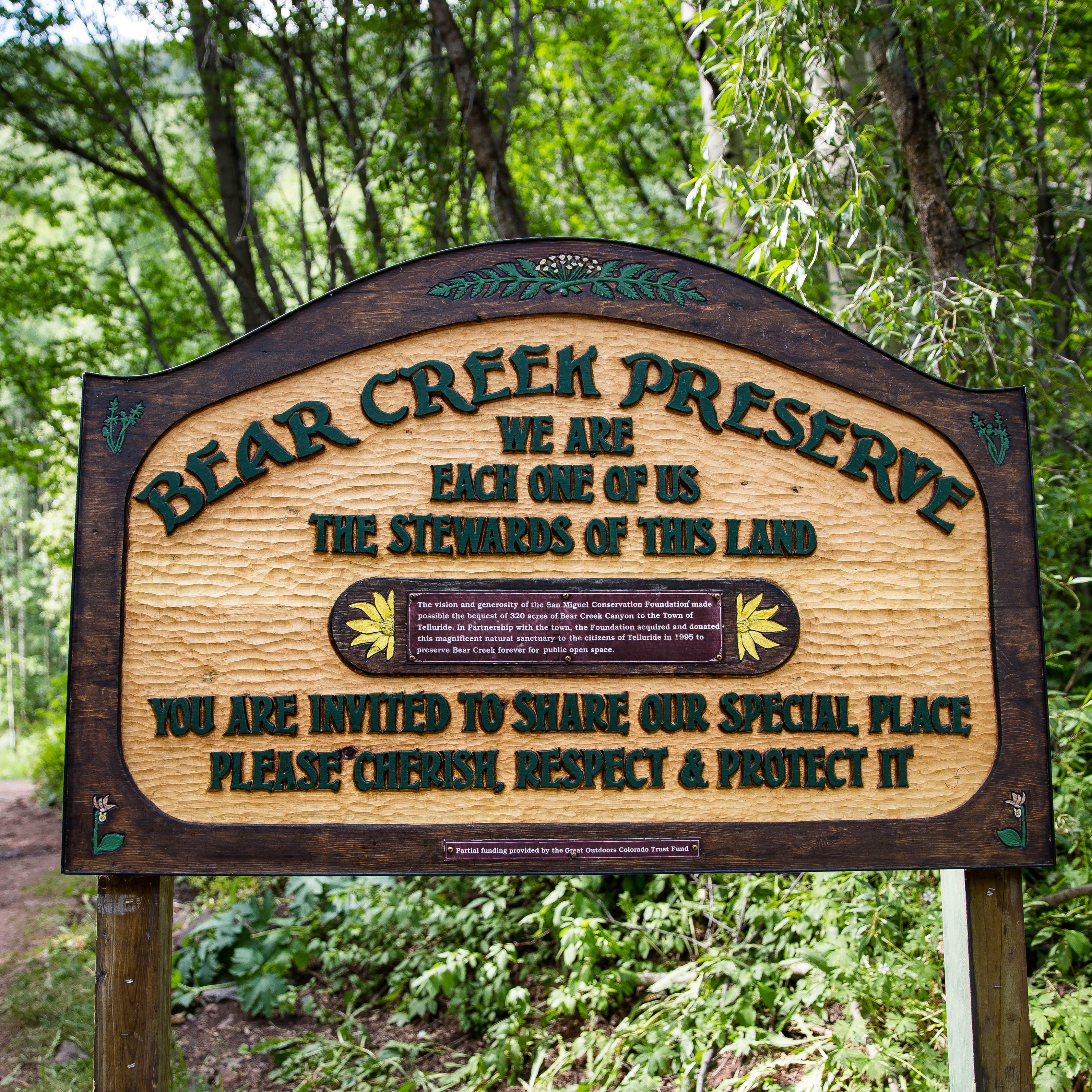 Hike to Bear Creek Falls in Telluride