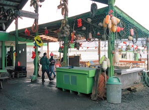 Crabbing at the Brighton Marina