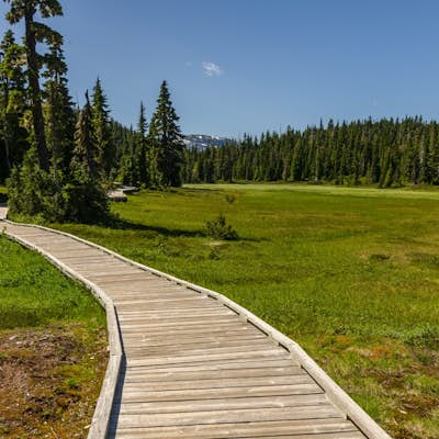 Centennial Loop Trail in Strathcona Provincial Park