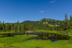 Centennial Loop Trail in Strathcona Provincial Park