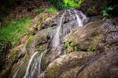 Hidden Waterfall in Codornices Park