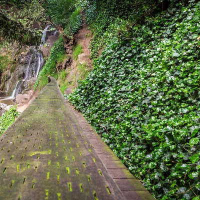 Hidden Waterfall in Codornices Park
