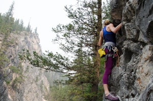 Rock Climb at Cougar Creek Canyon