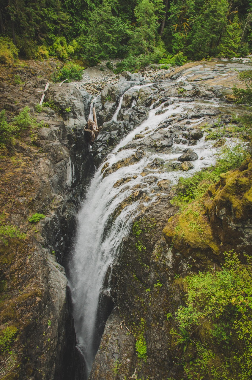 Hike through Englishman River Falls Provincial Park