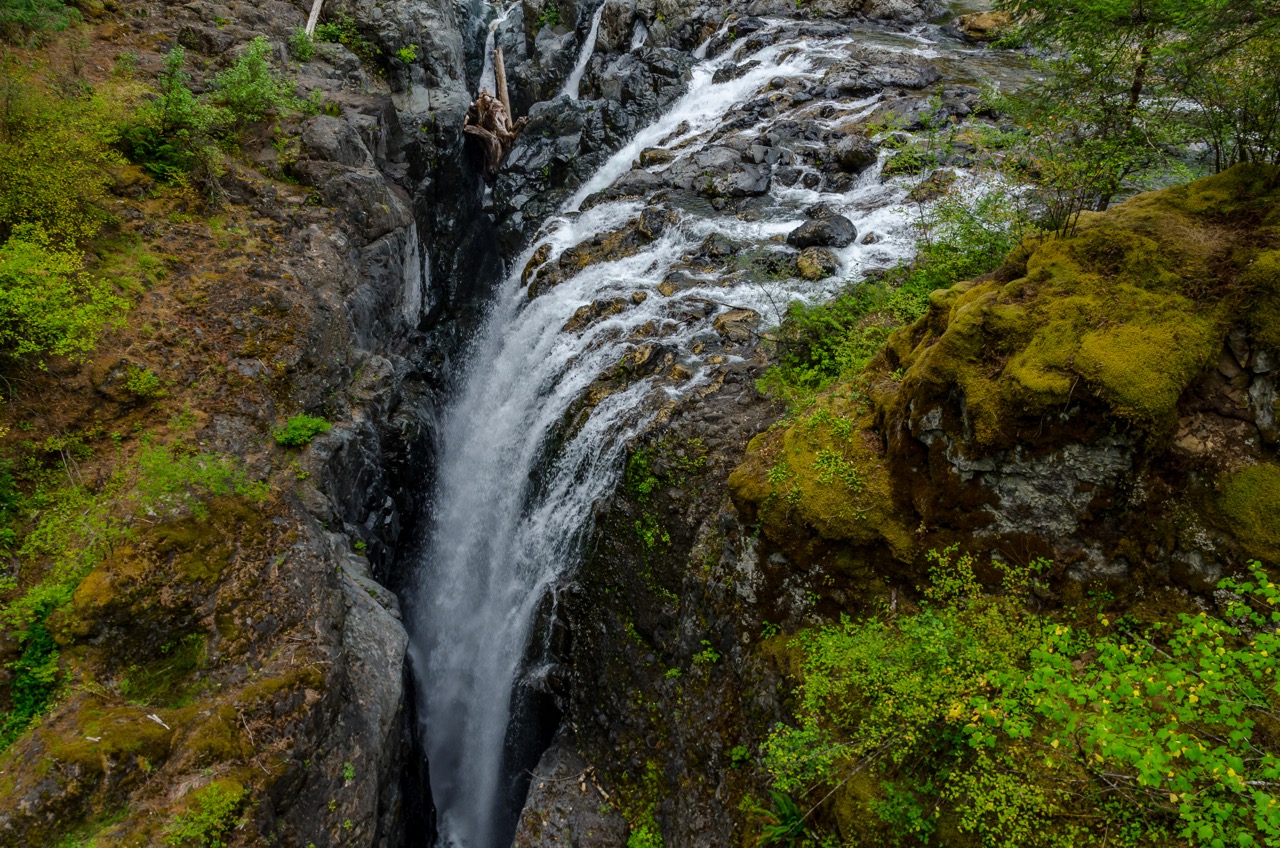 Hike through Englishman River Falls Provincial Park
