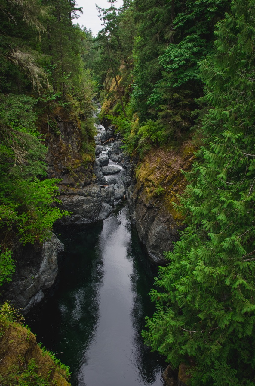 Hike through Englishman River Falls Provincial Park