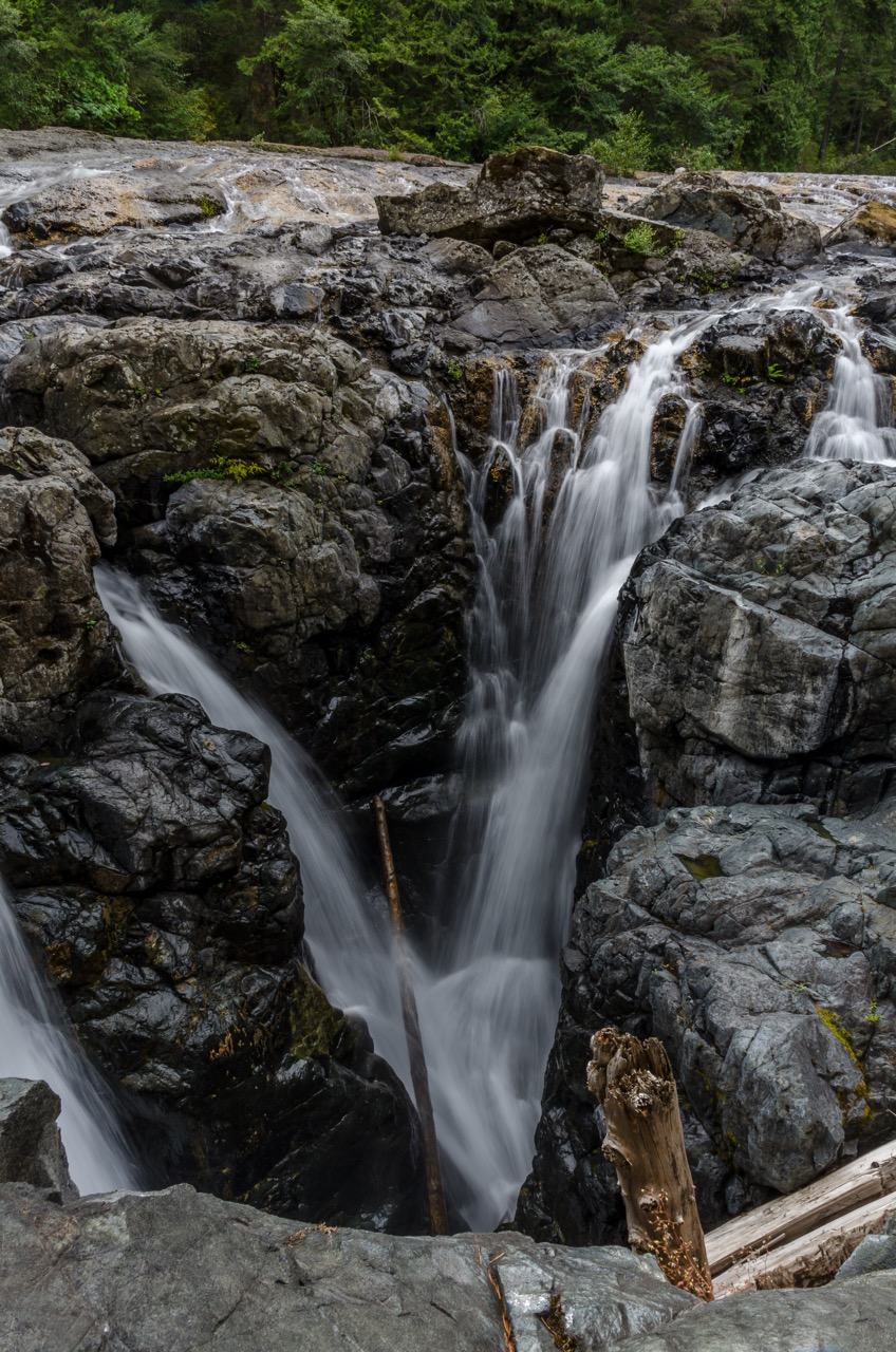 Hike through Englishman River Falls Provincial Park