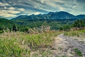 Hike the Wheeler Creek and Icebox Canyon Loop