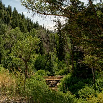 Hike the Wheeler Creek and Icebox Canyon Loop