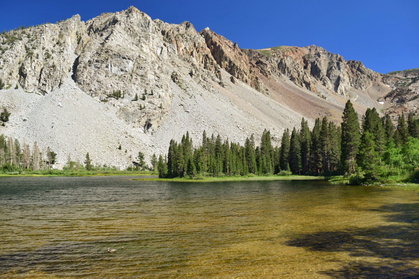  Fern Lake via Yost Creek Trail
