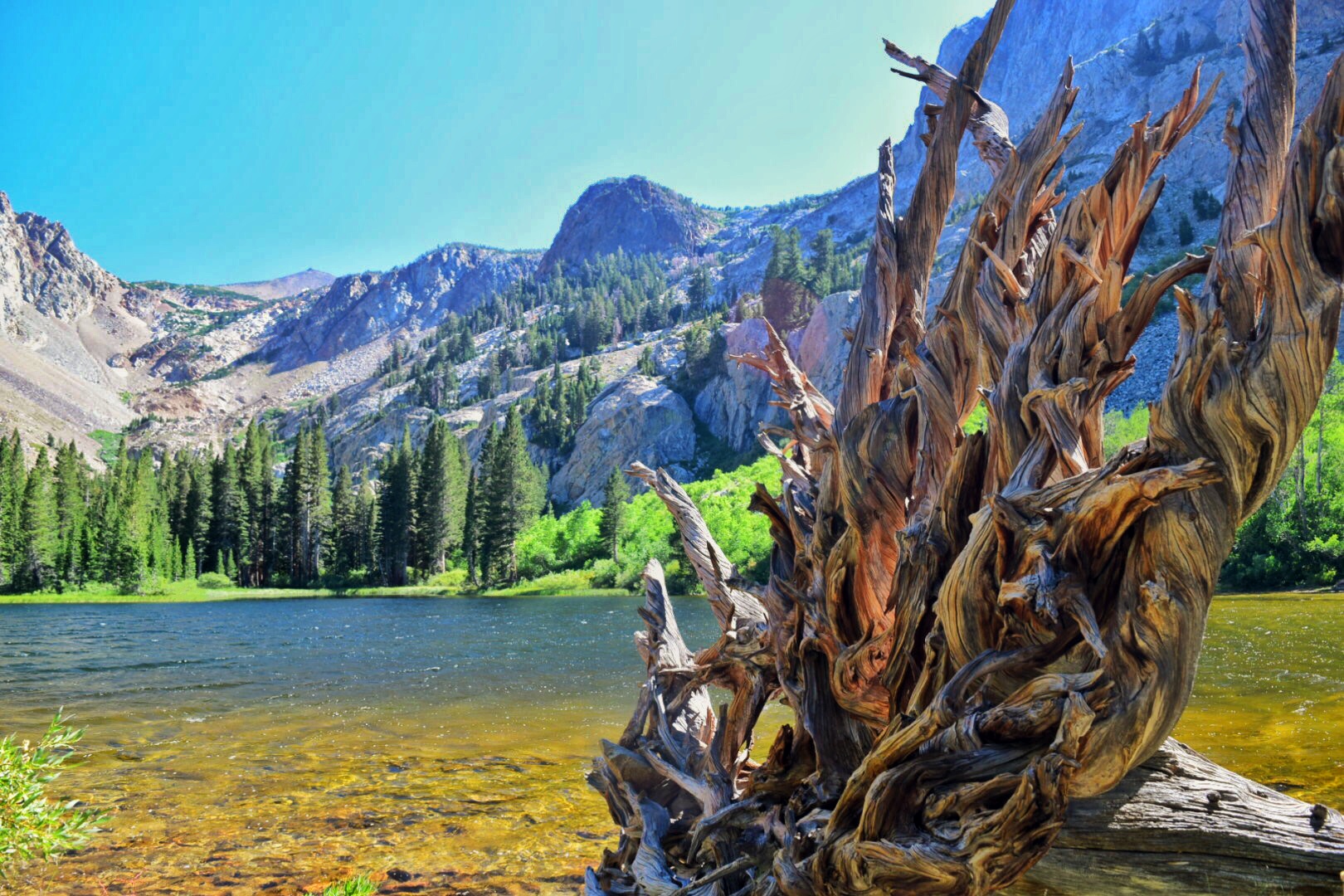  Fern Lake via Yost Creek Trail