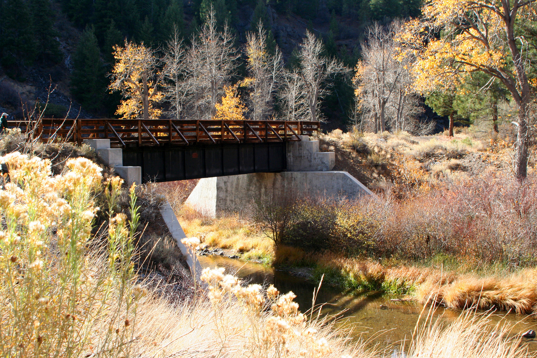 Camp at ​Cheney Creek Primitive Campsite