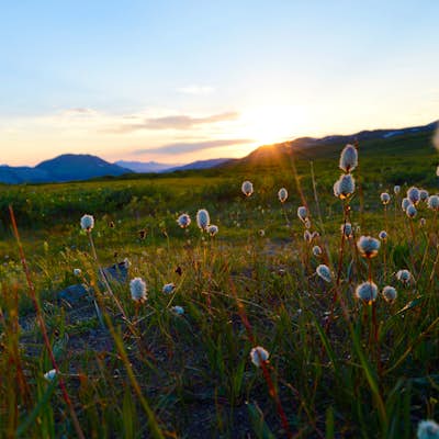 Watch the Sunset from Independence Pass