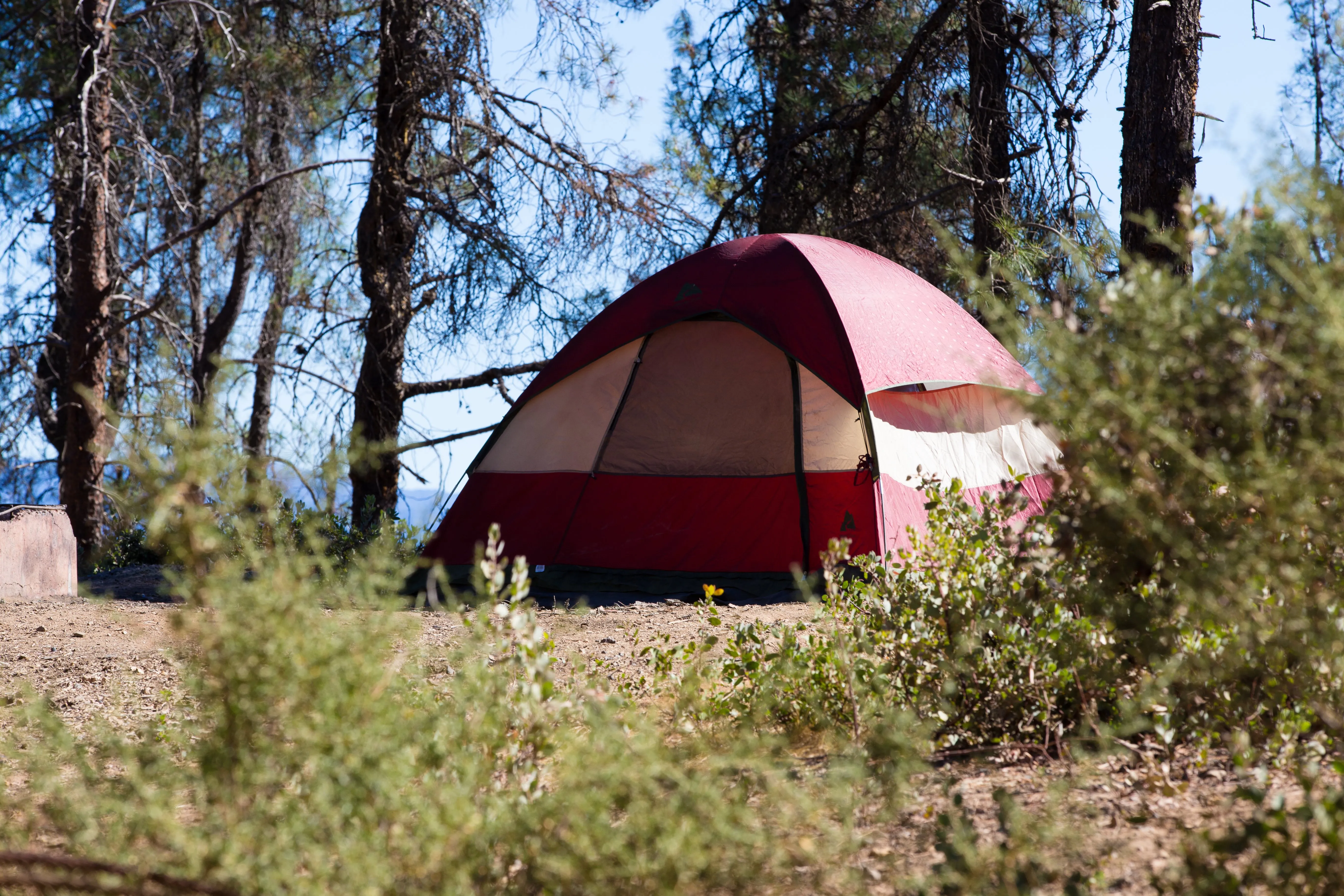 Camp at Red Mountain Campground