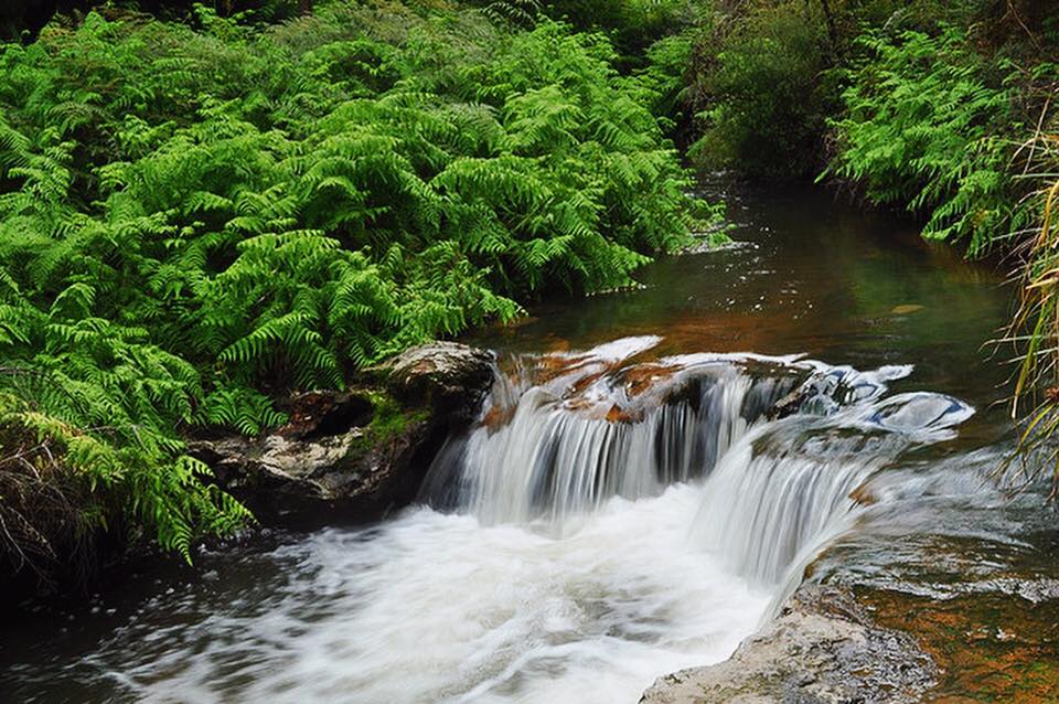 Swim in Kerosene Creek 