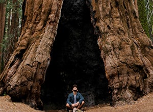 Your Perfect Weekend in Sequoia National Park