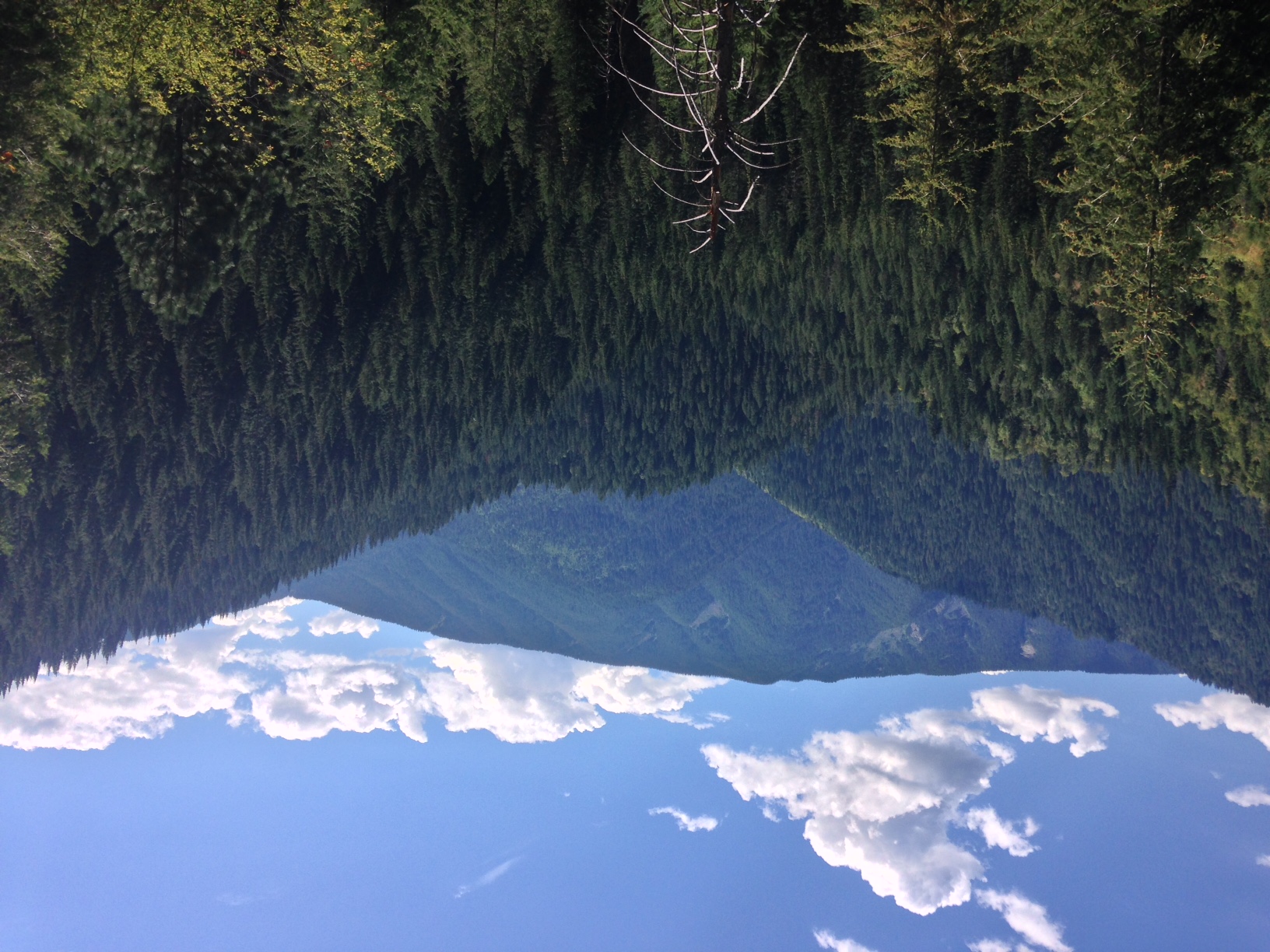 Hike Sherman Creek Trail 203, Kooskia, Idaho