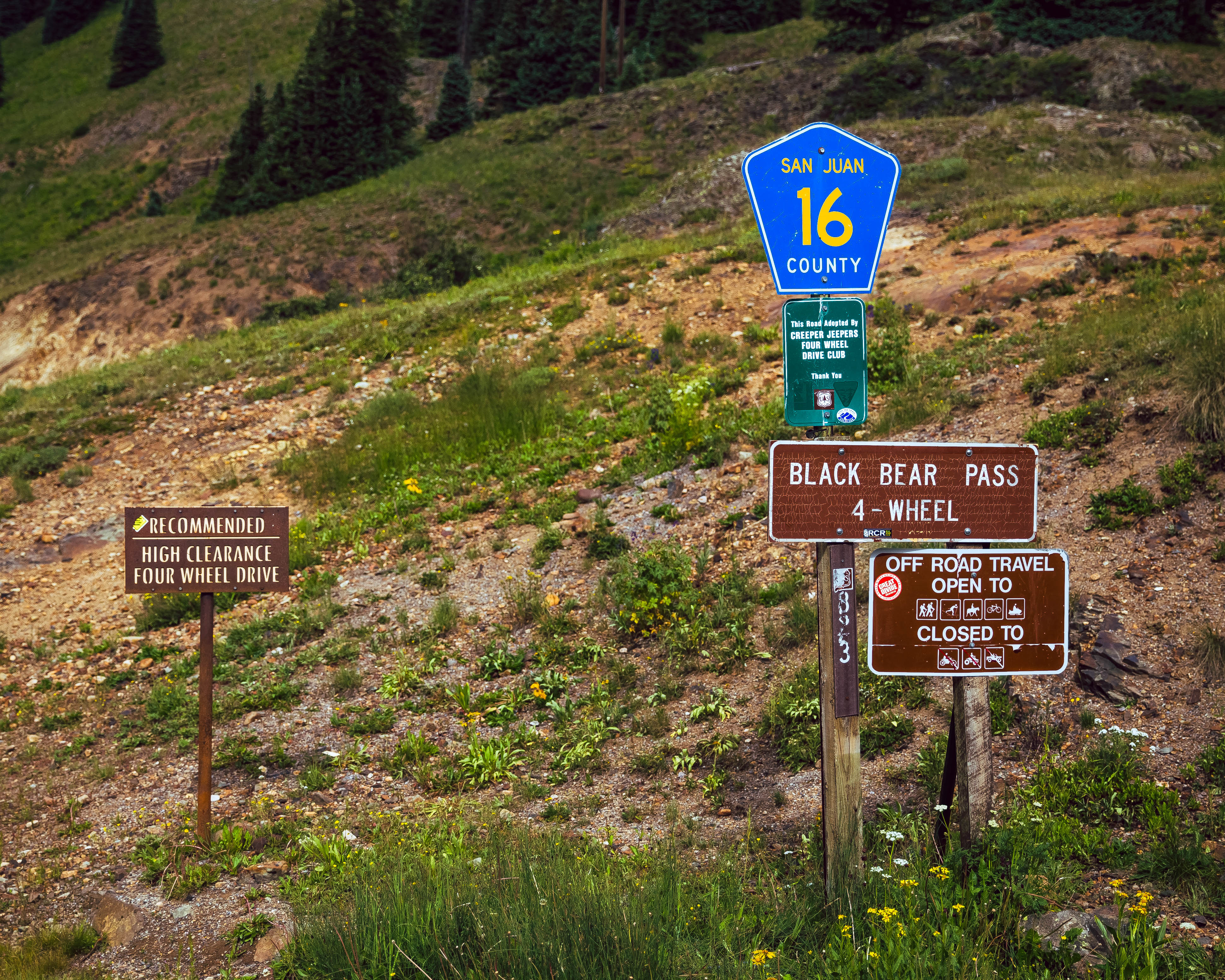 Drive Black Bear Pass & the Ingram Basin