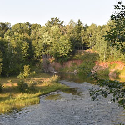 Manistee River Trail Loop