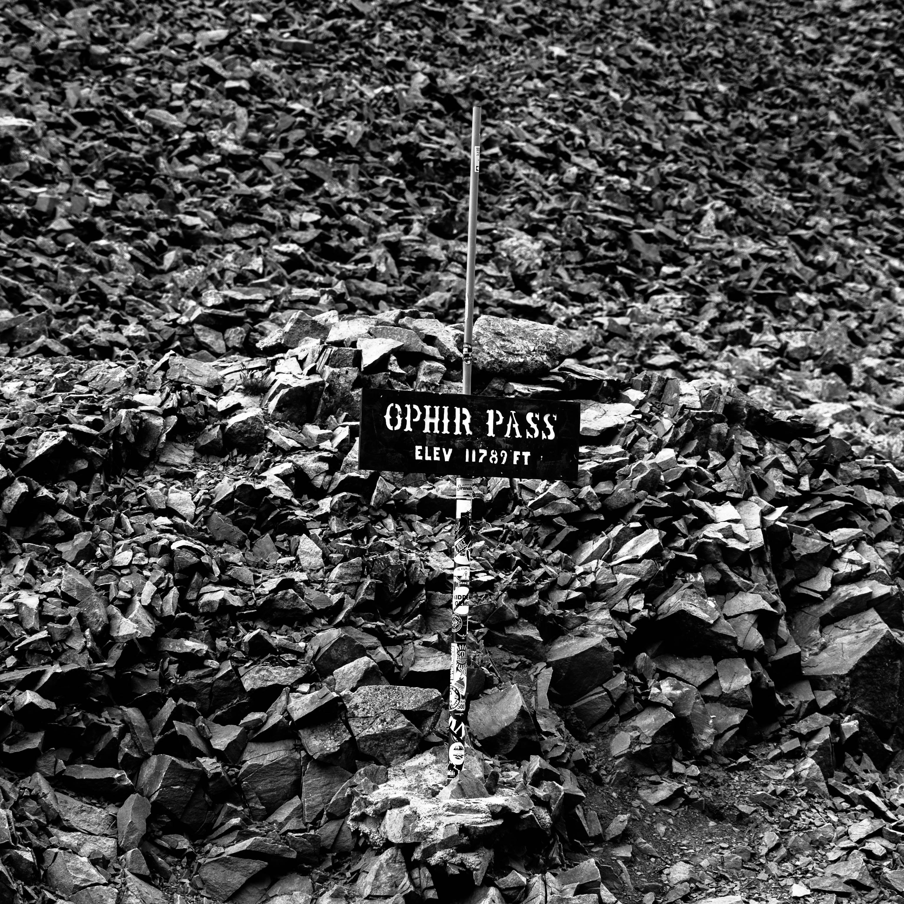 Drive Ophir Pass