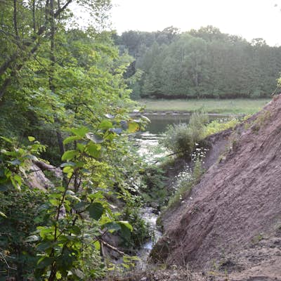 Manistee River Trail Loop