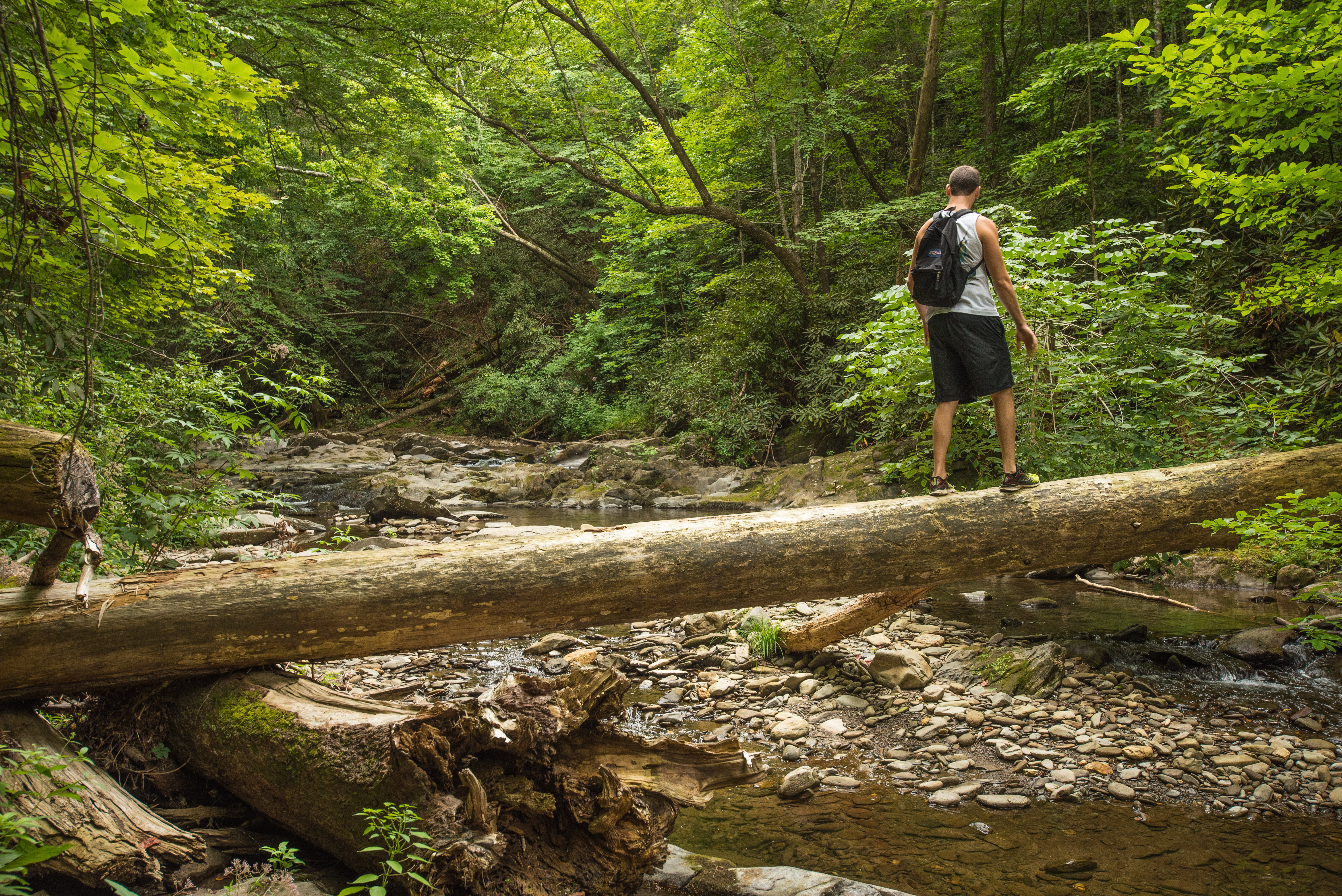 Emery Creek Falls