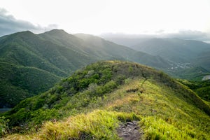 Hike to Arbol Solitario 