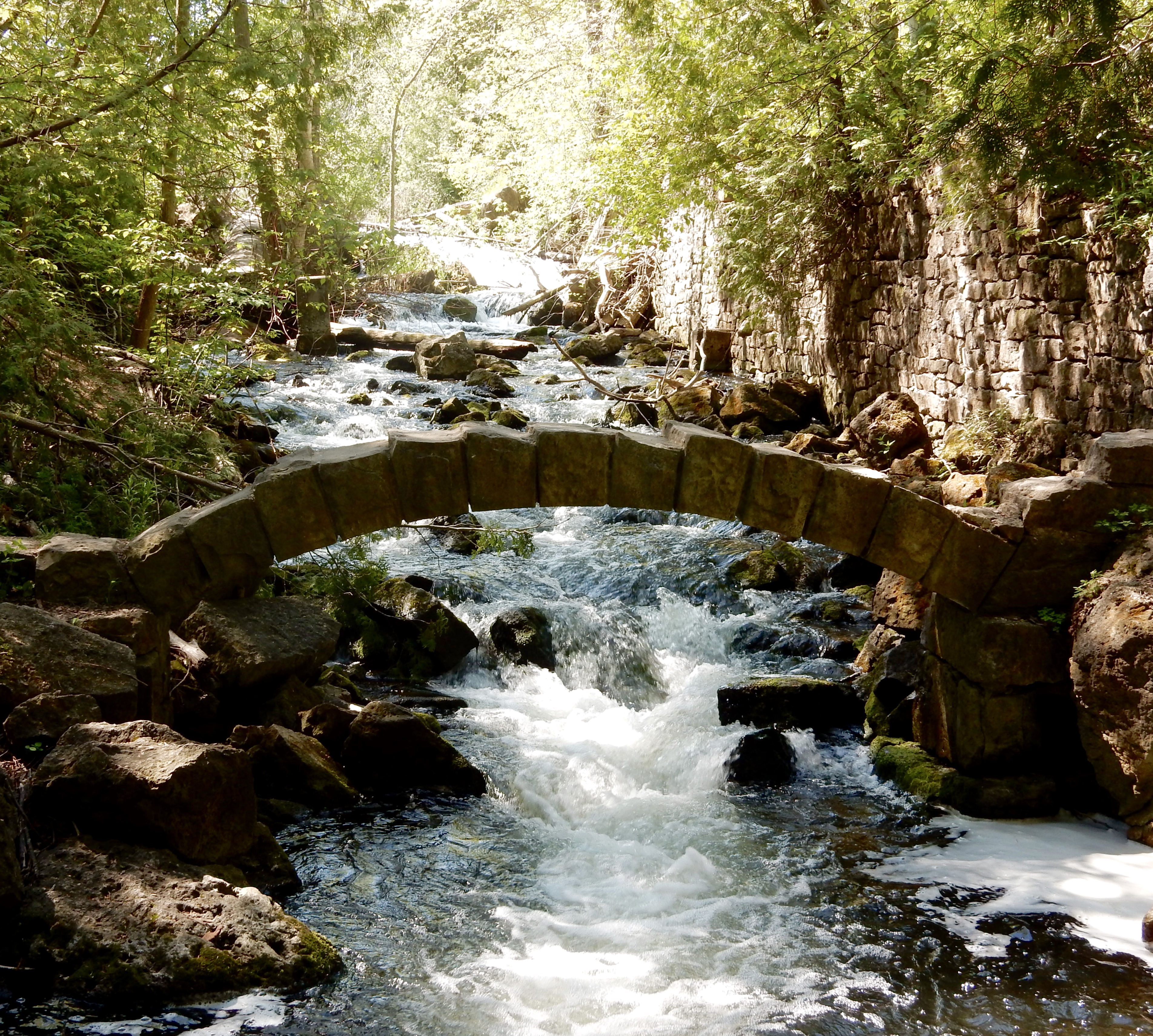 Hike the Limehouse Conservation Area Loop, Limehouse, Ontario