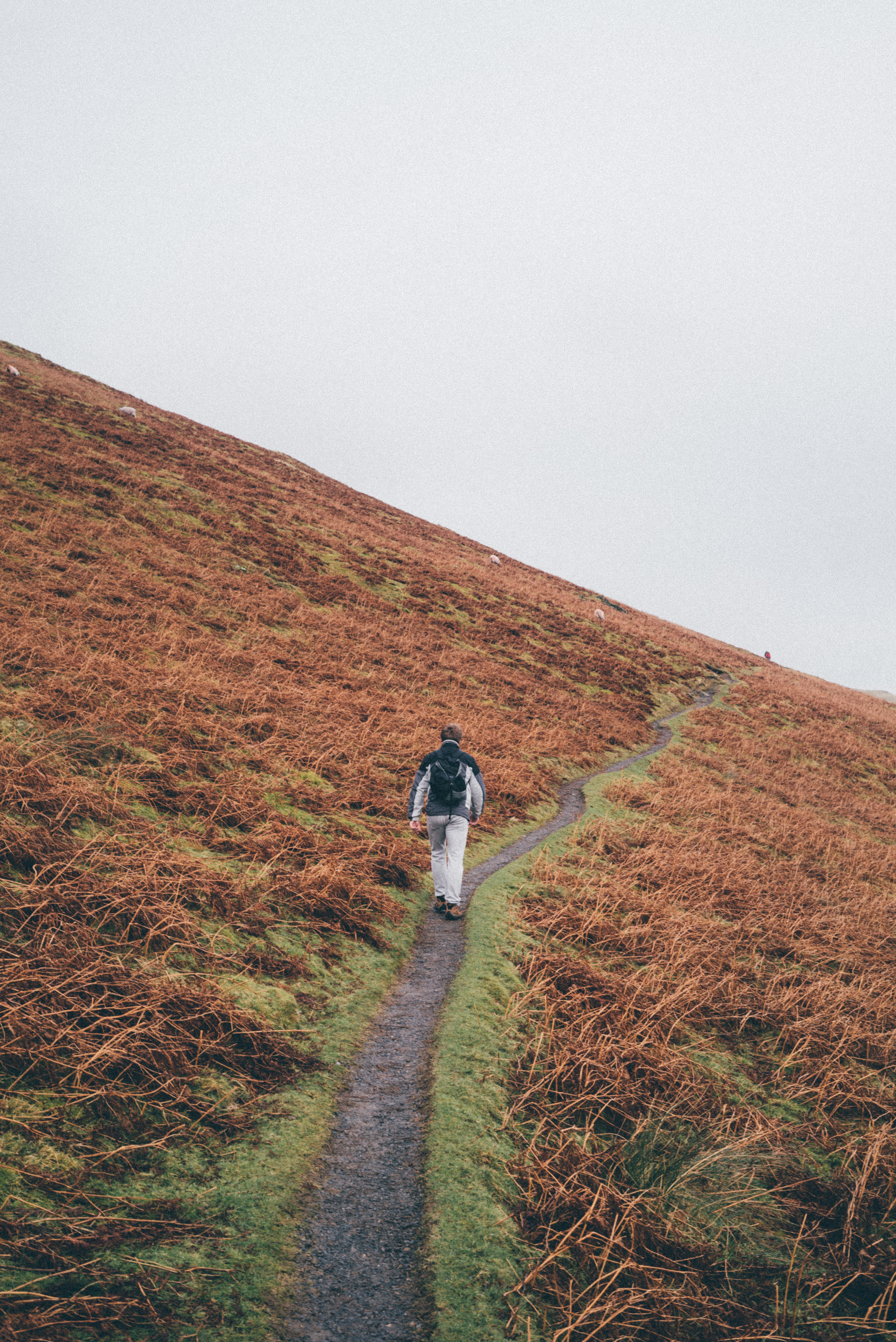 Hike up Blencathra