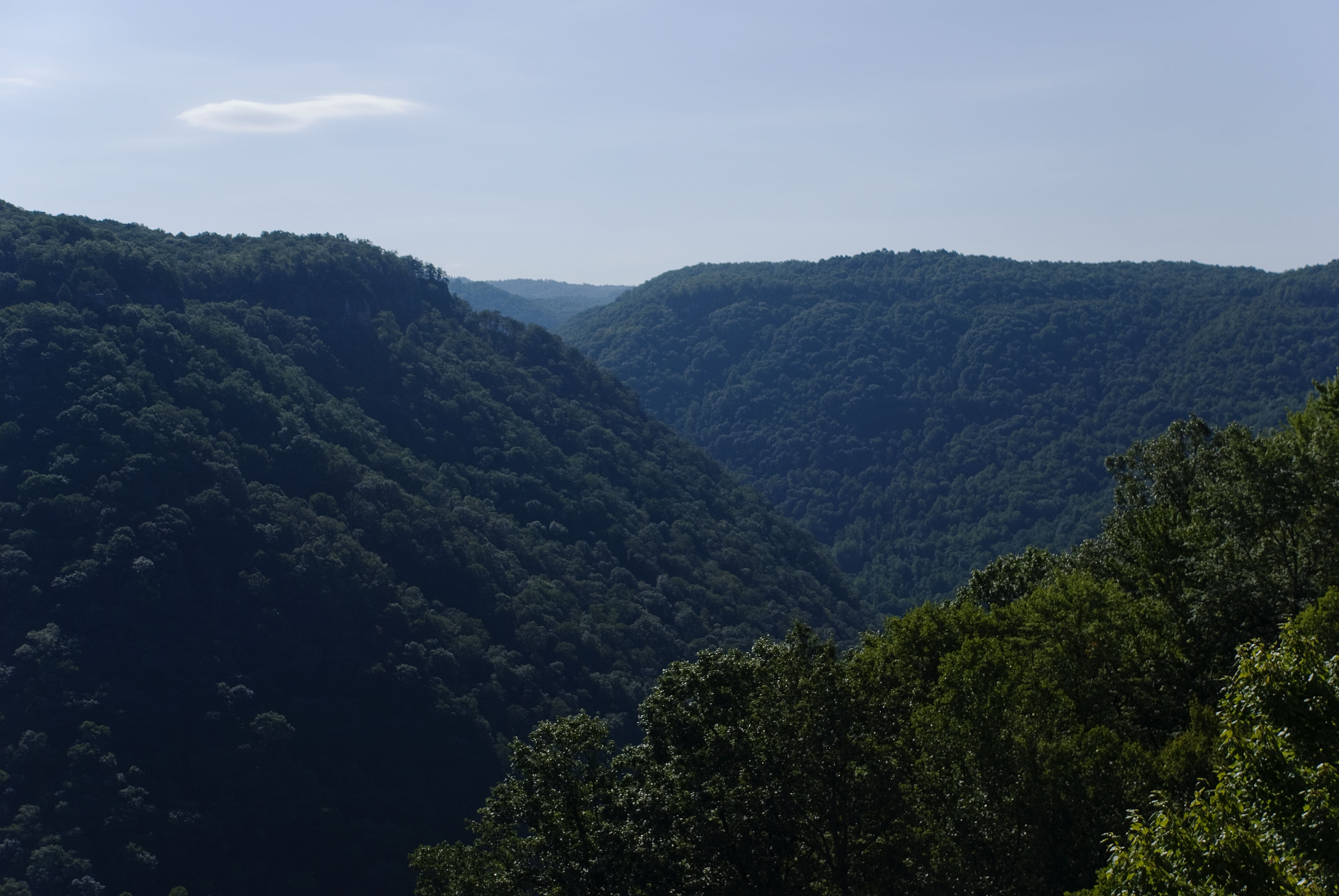Hike the Long Point Trail