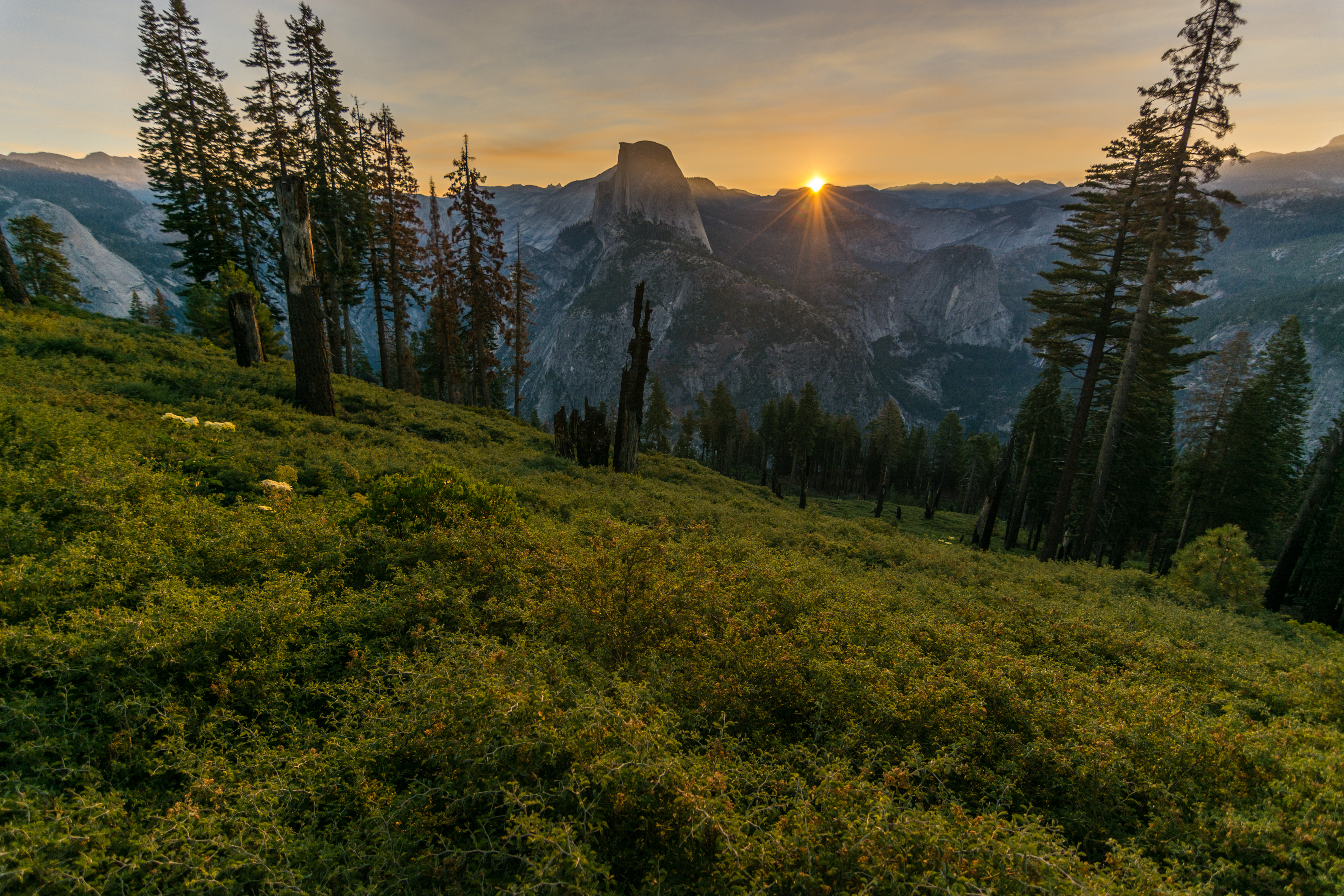 Photograph Yosemite's Half Dome at Glacier Point
