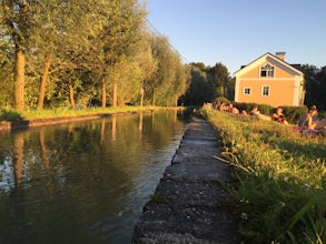 Swim against the current in the Almkanal