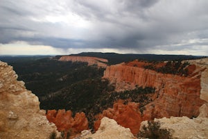 Hike the Bristlecone Loop Trail 