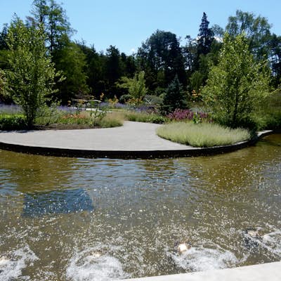 Visit the Royal Botanical Gardens in Burlington