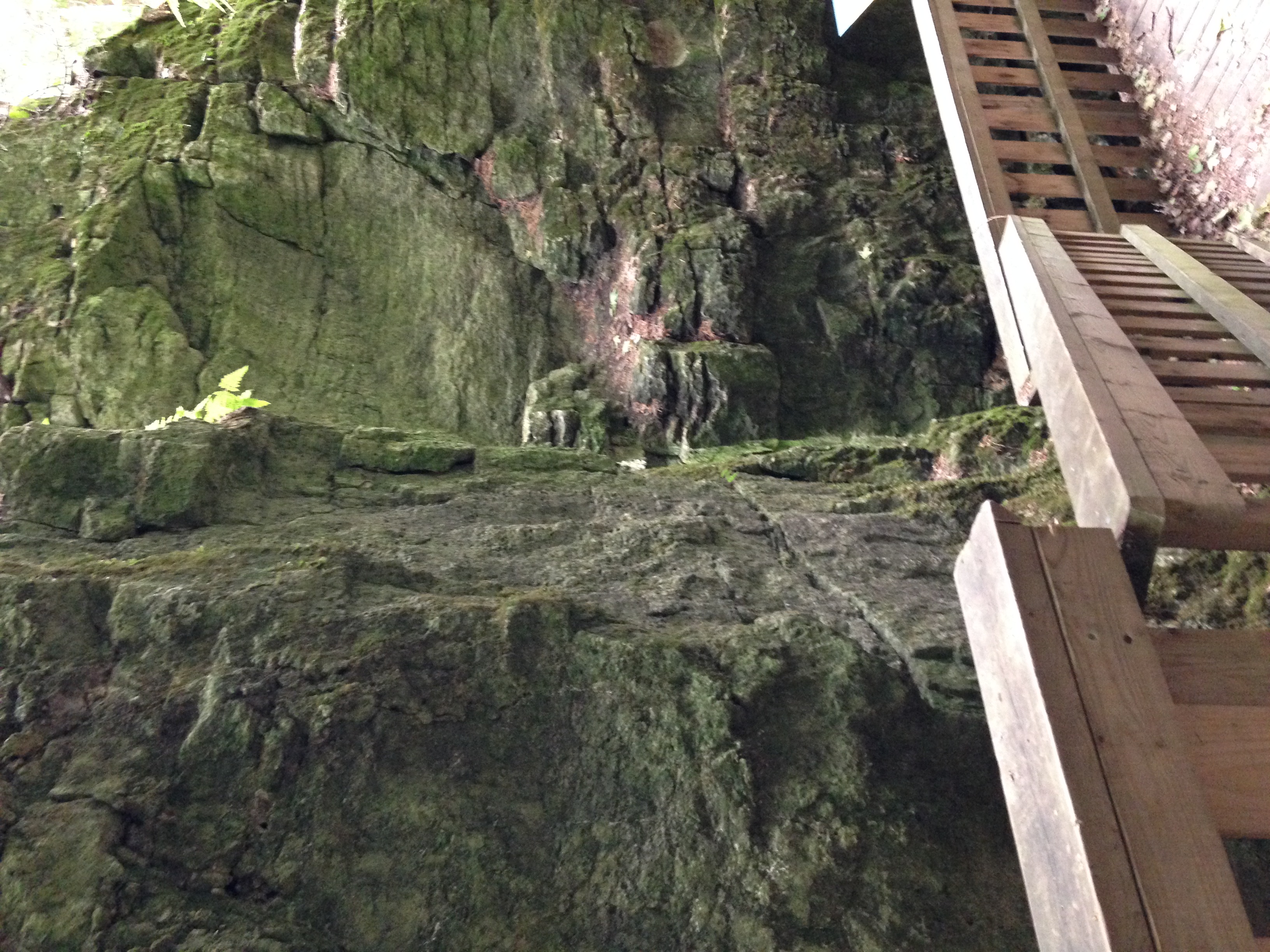  Hike Mono Cliffs Provincial Park