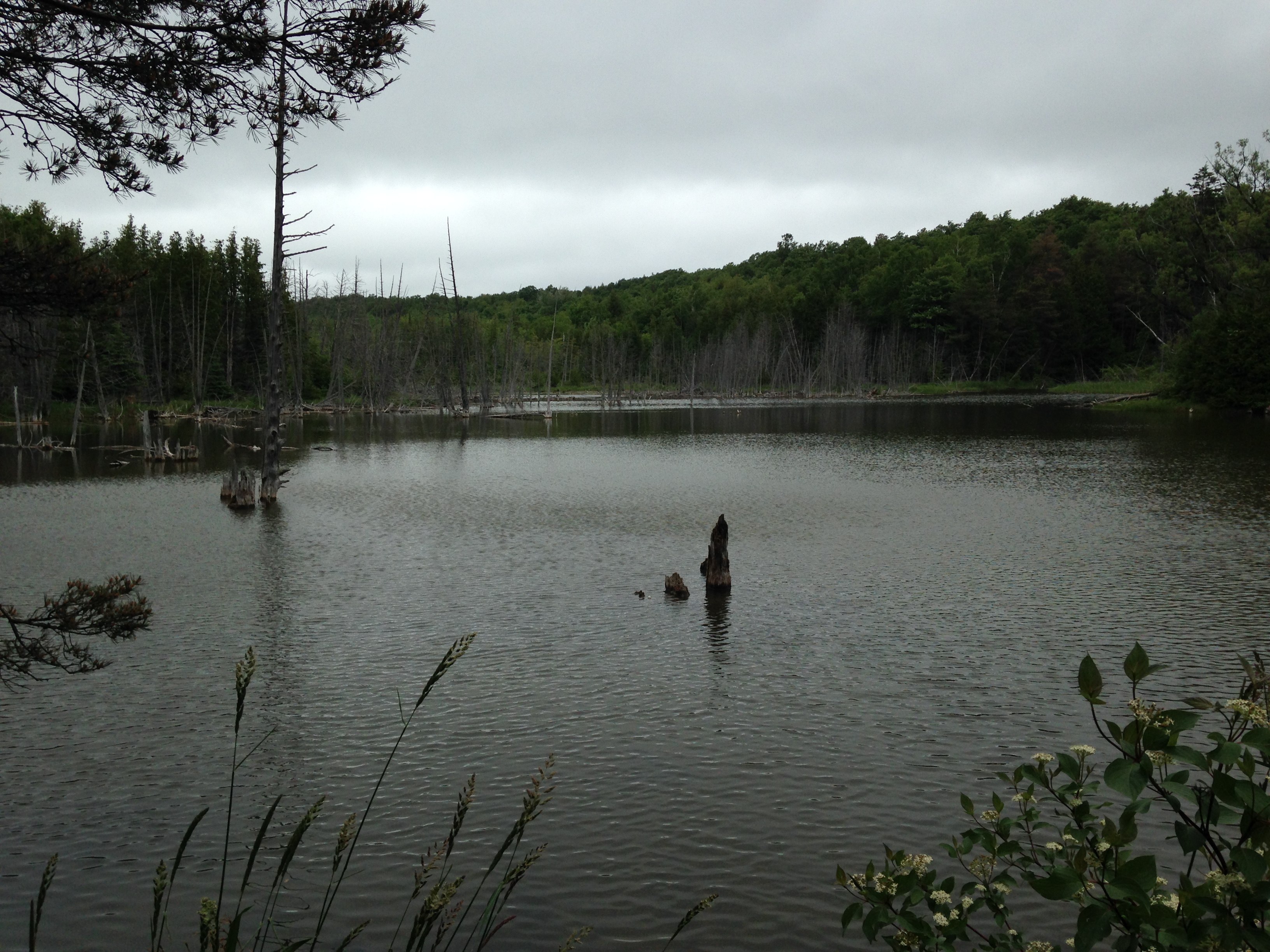  Hike Mono Cliffs Provincial Park