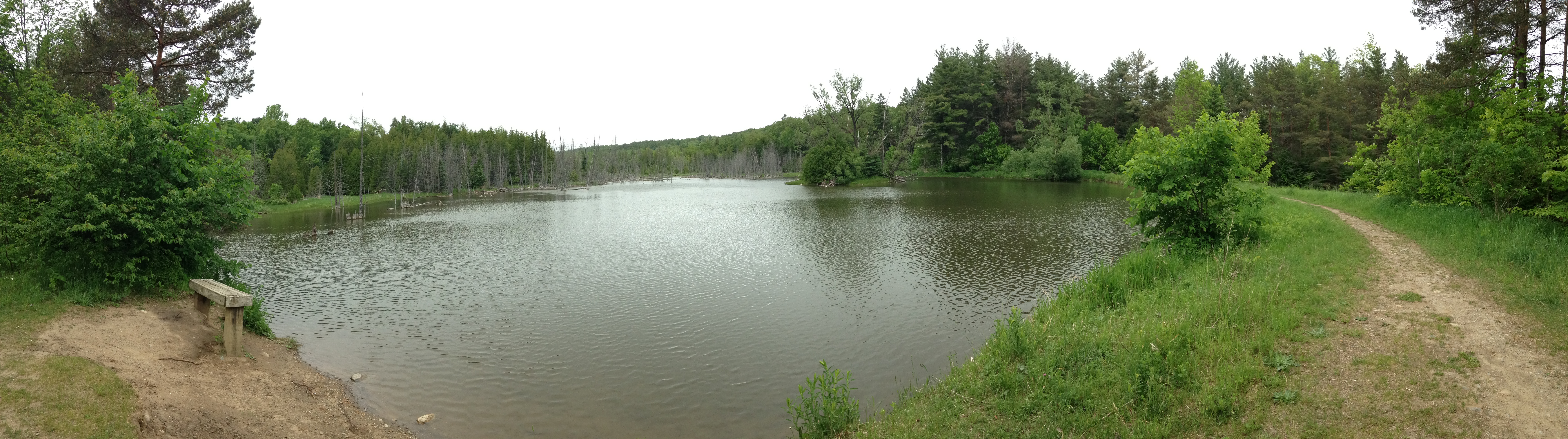  Hike Mono Cliffs Provincial Park