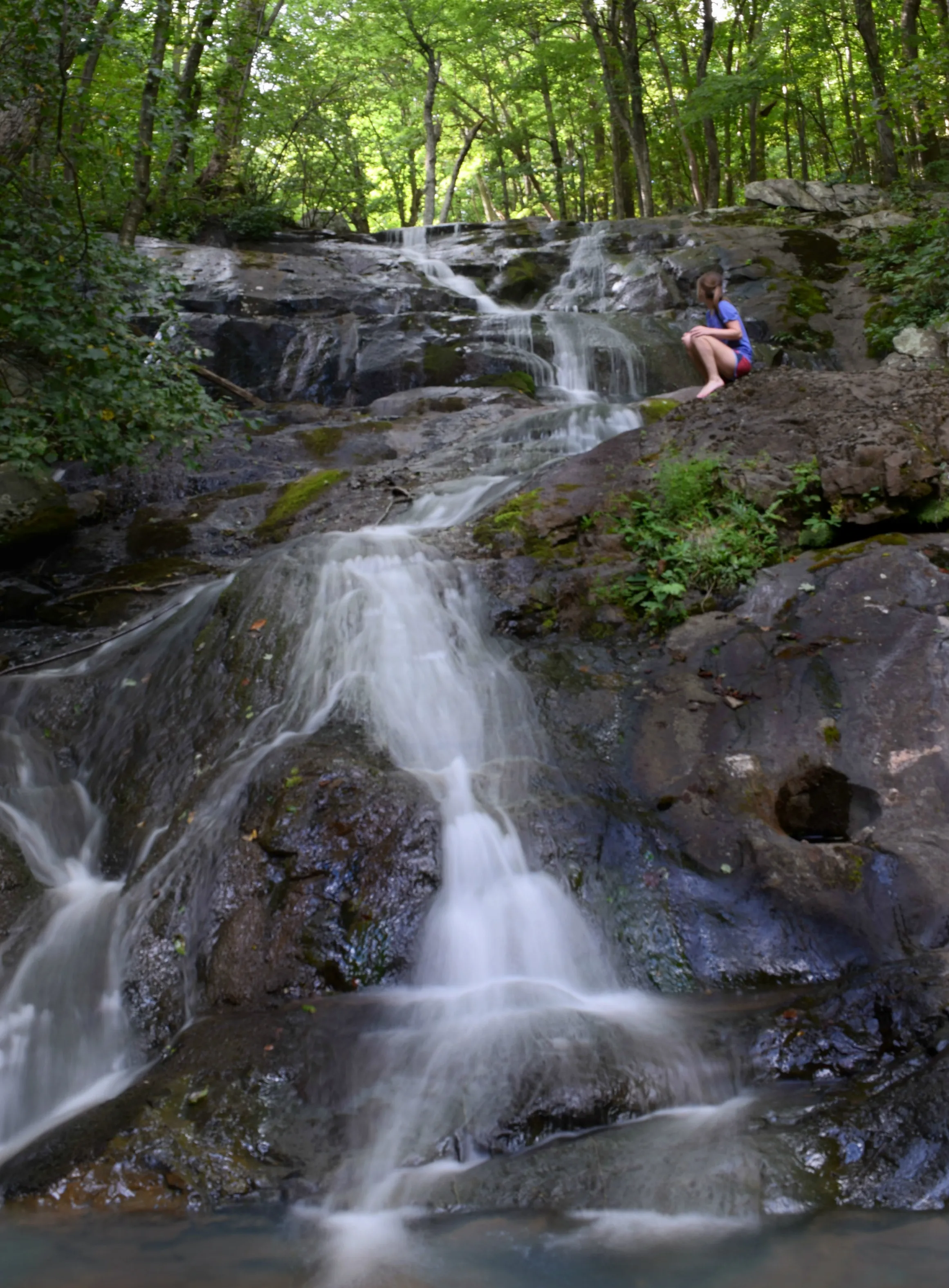 Shamokin Falls