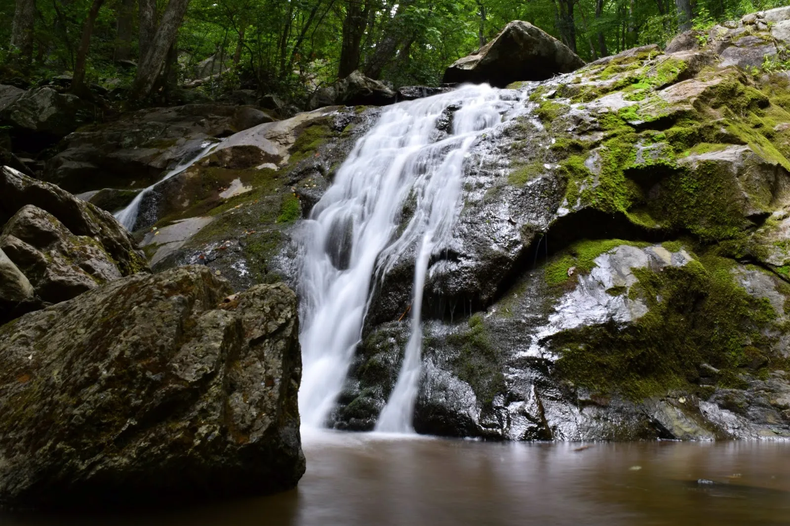 Shamokin Falls