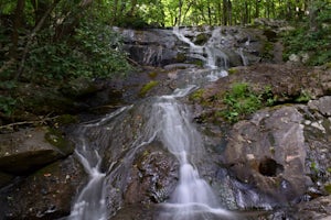 Hike to Shamokin Falls