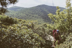 Malouf's Mountain Camp on Mt. Beacon